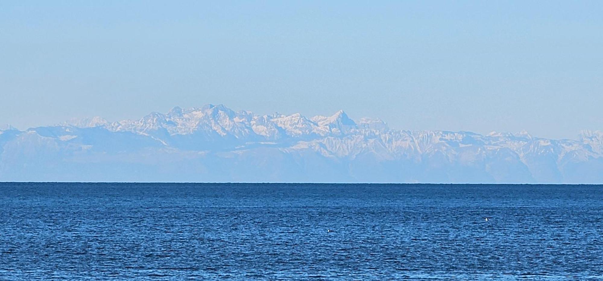 Kadenca Daire Umag Dış mekan fotoğraf